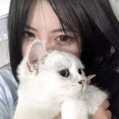 fightup io破解版下载